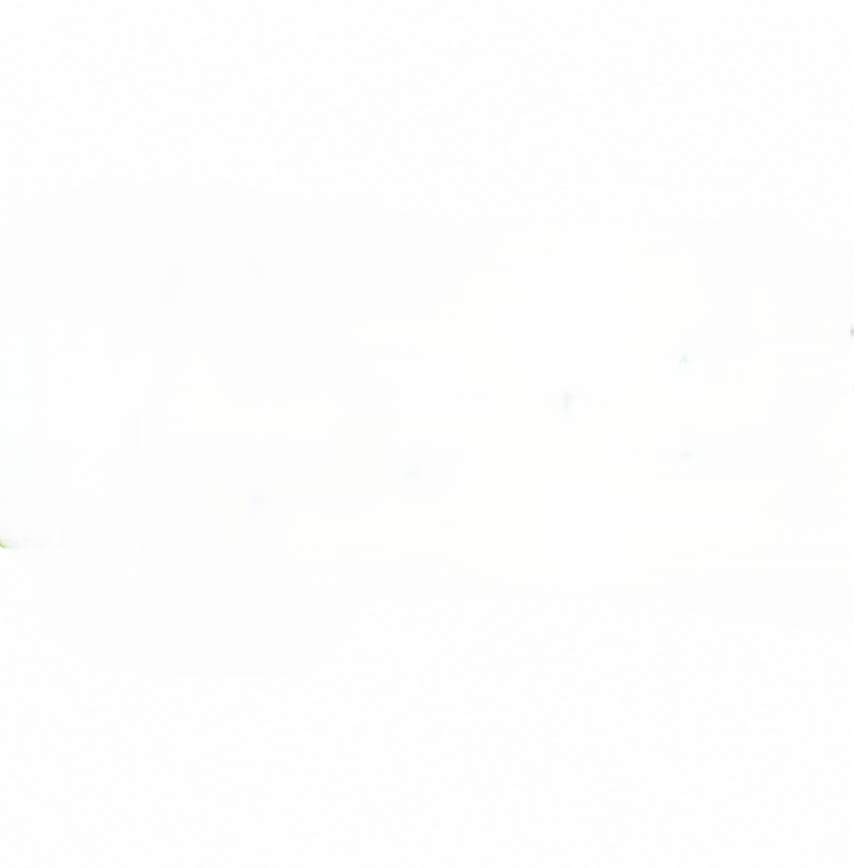 Professional Therapy Services Logo