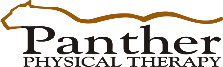 Panther Physical Therapy Logo