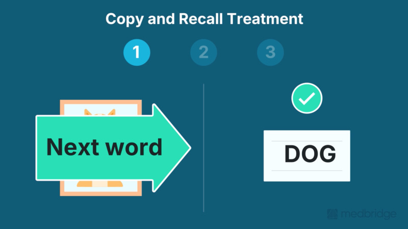 Written Language Production in Aphasia: Agraphia Treatment