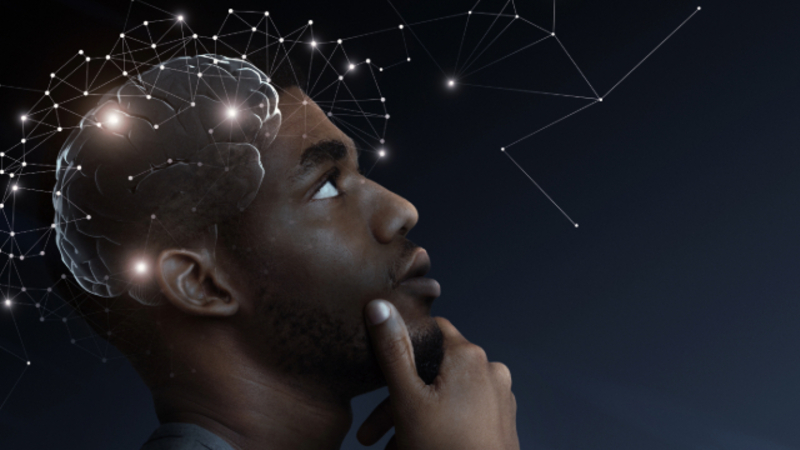 Building Better Brains: Everyday Strategies to Spark Neuroplasticity (Recorded Webinar)