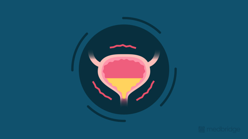 OT in the Home: Pelvic Health Strategies for General Practitioners