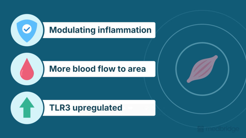 Shockwave Therapy: A Guide for Orthopedic Clinics