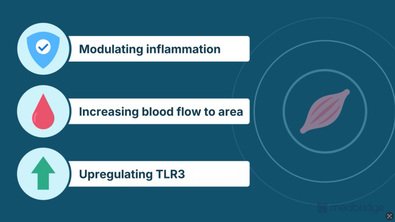 Shockwave Therapy: A Guide for Orthopedic Clinics