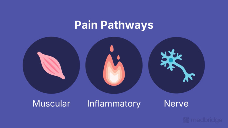 Optimizing Recovery After Knee Arthroplasty