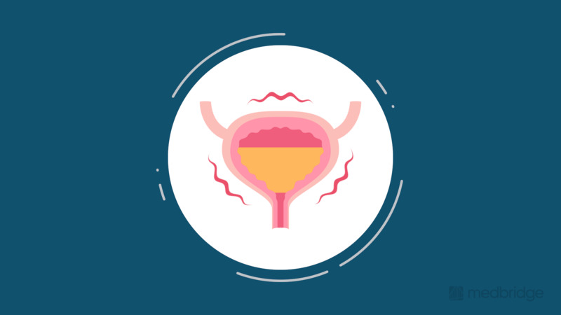 Overactive Bladder and Incontinence: Patient Education Strategies