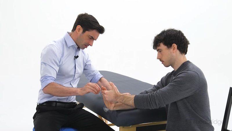 Orthopedic Mentorship Series: Wrist and Fingers