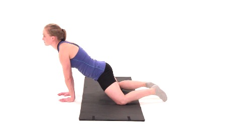 Quadruped Adductor Stretch
